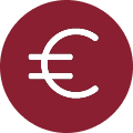 Icône euro